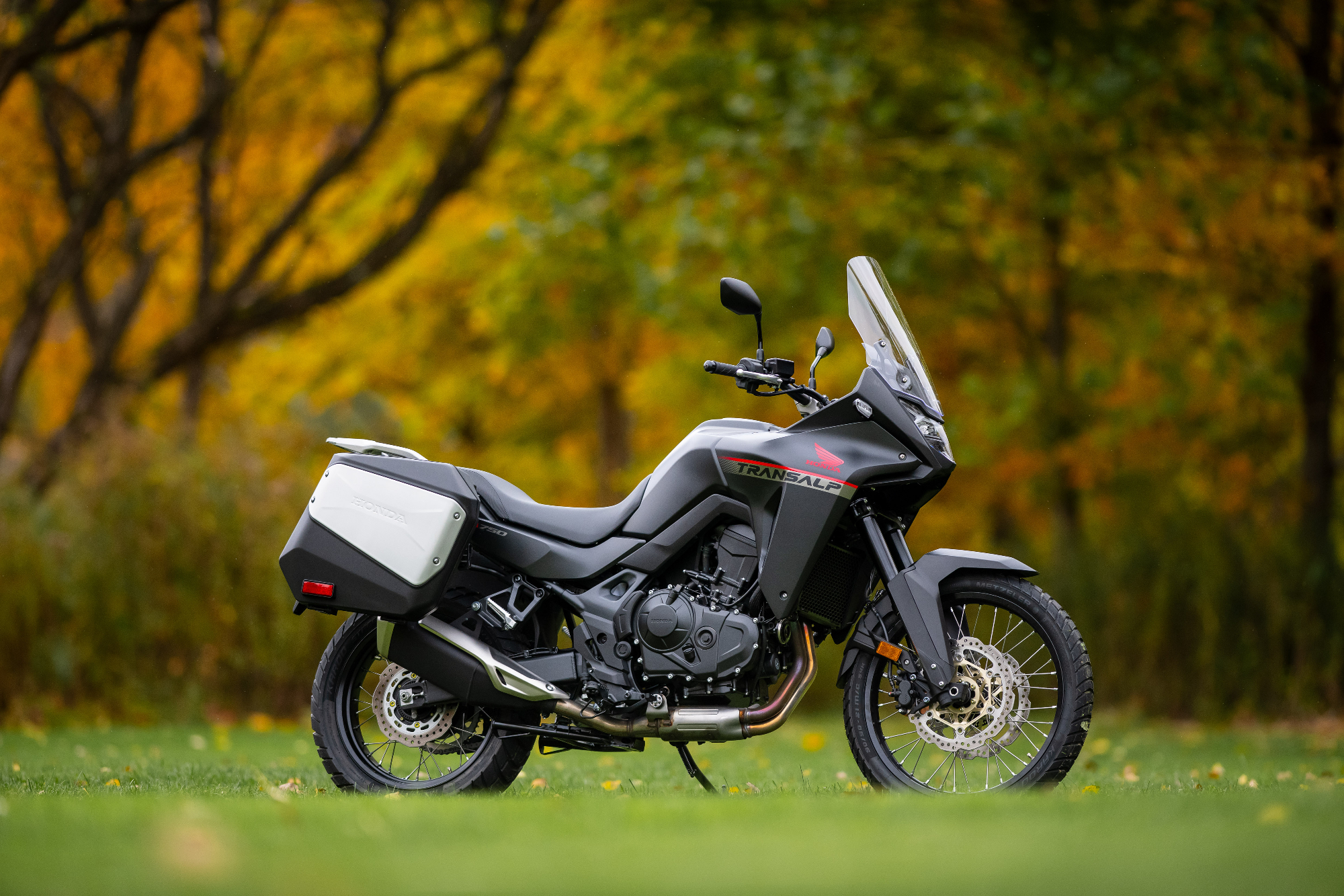 2024 Honda XL750 Transalp in front of colorful fall trees