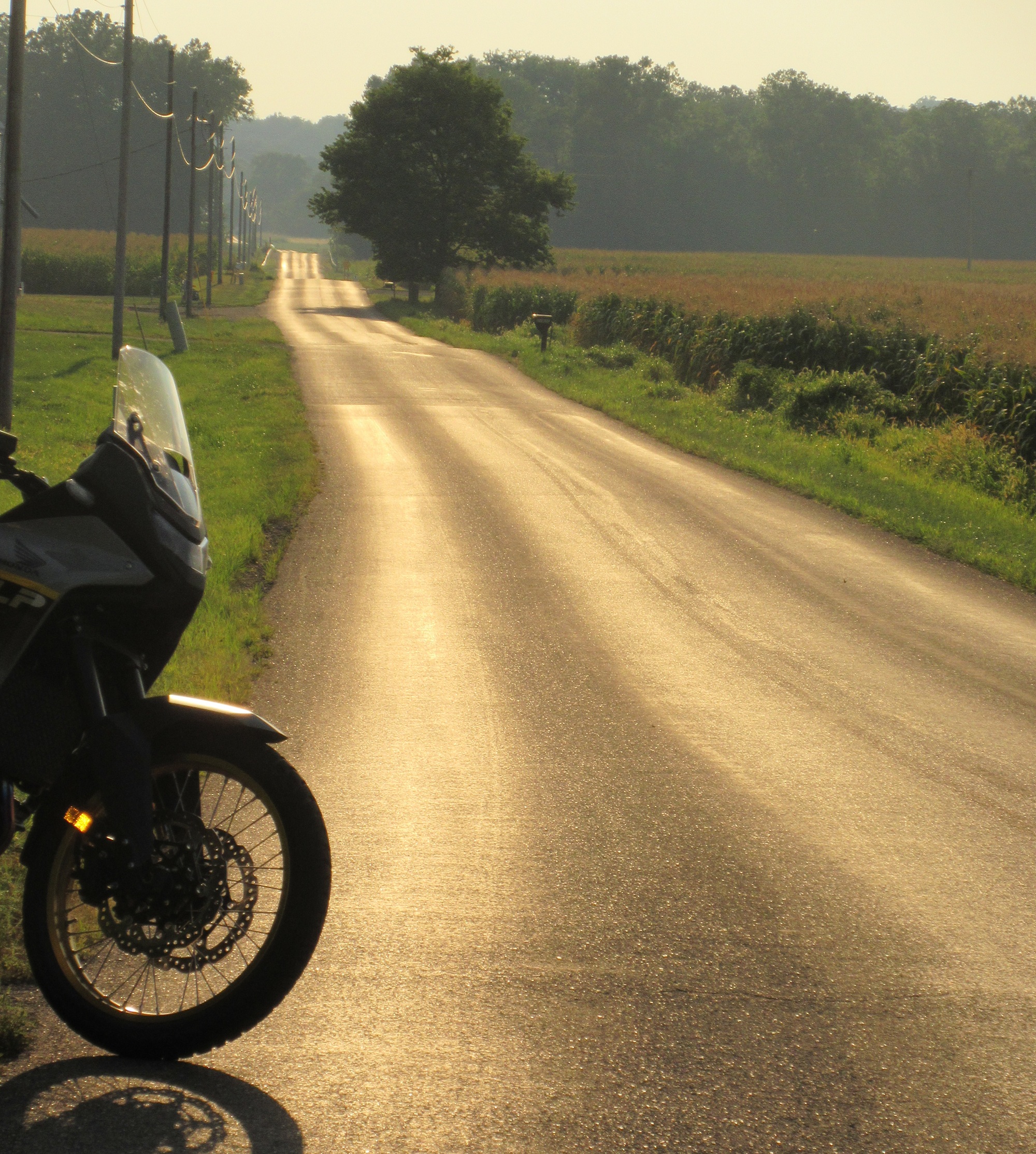 Transalp at sunset parked along a narrow country road by a cornfield with the sun glowing on the pavement