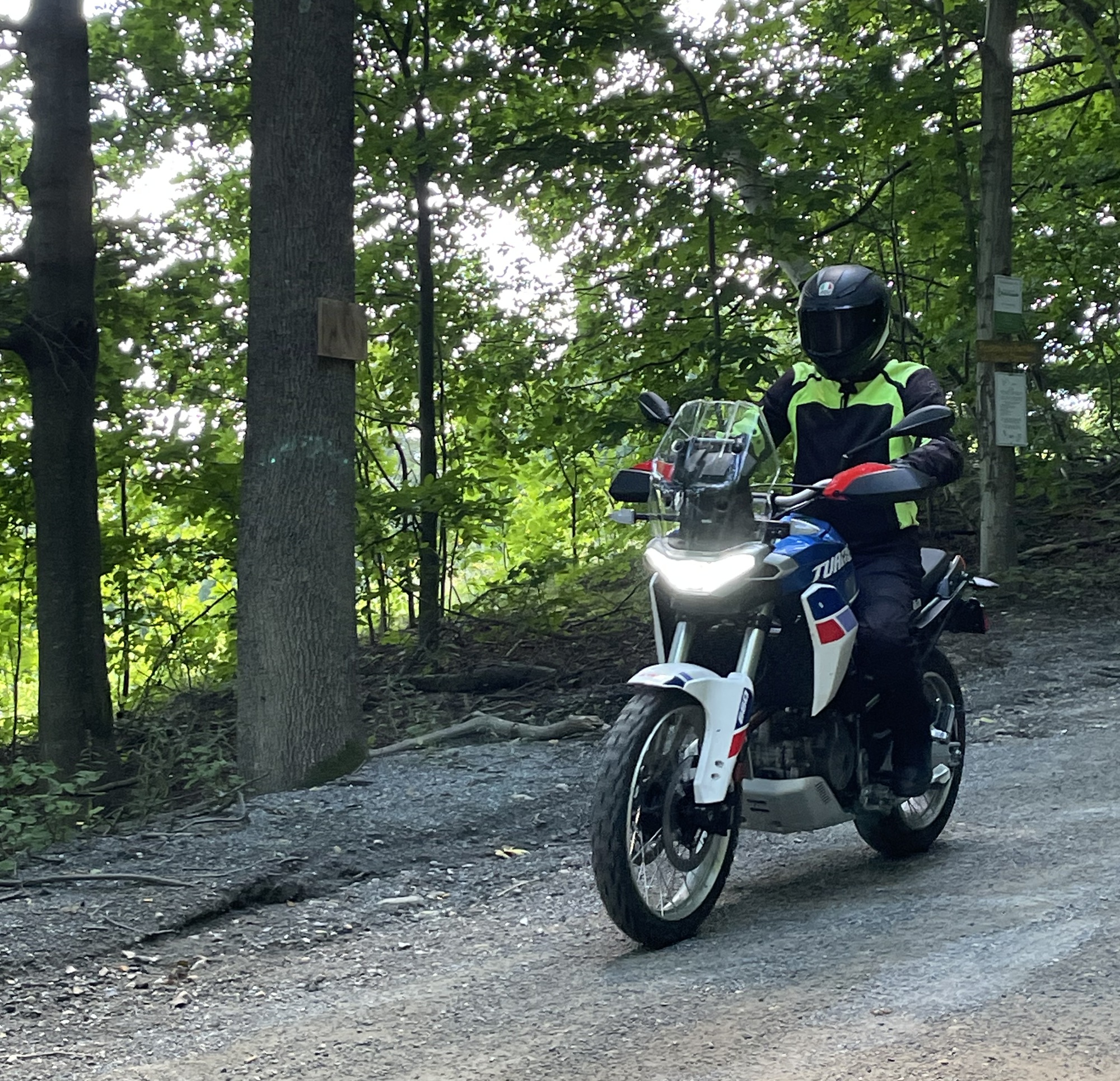 rider on a Tuareg on a dirt road through a forest