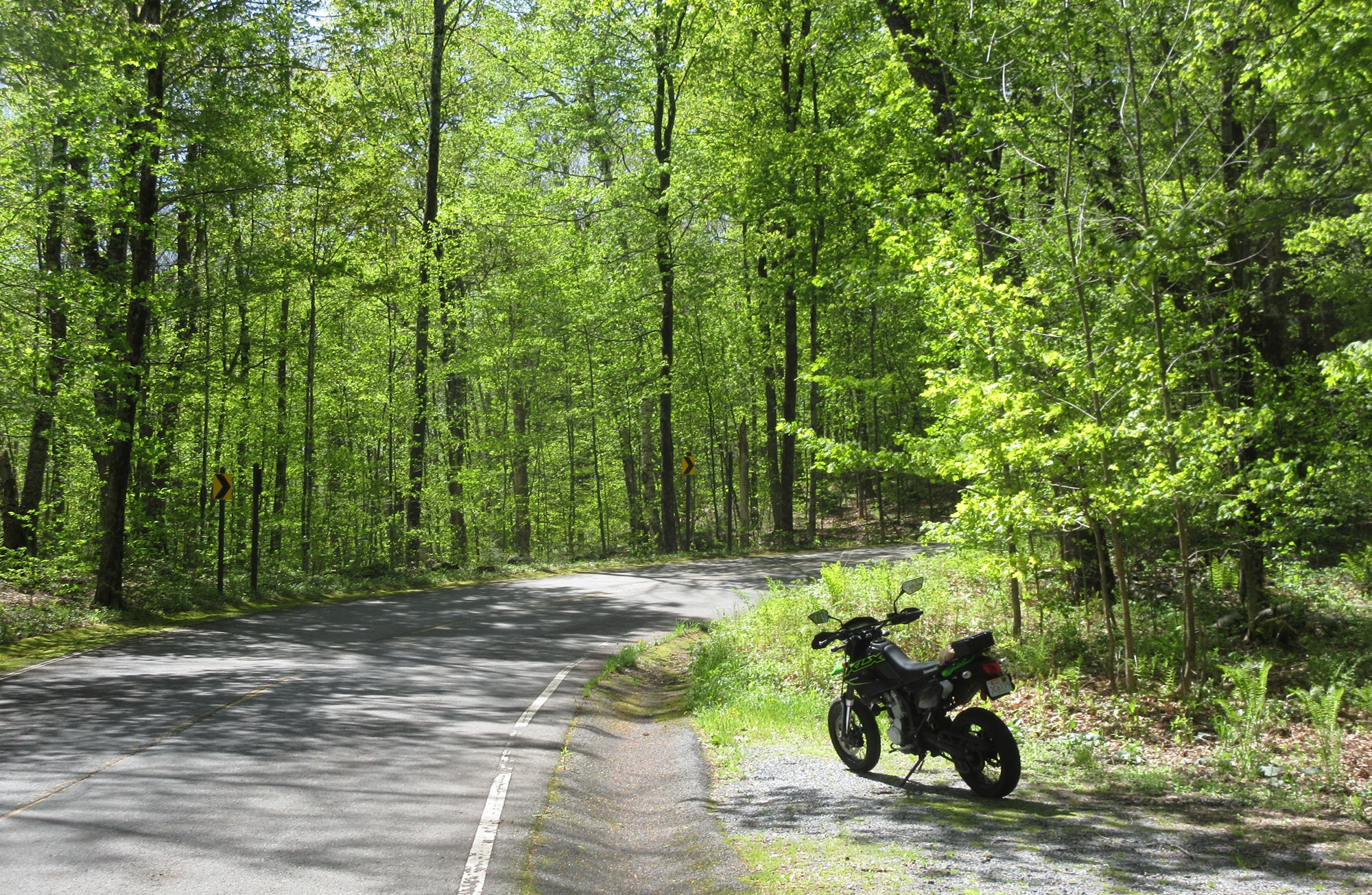 green and black Kawasaki KLX300SM parked at a hairpin turn in the forest road