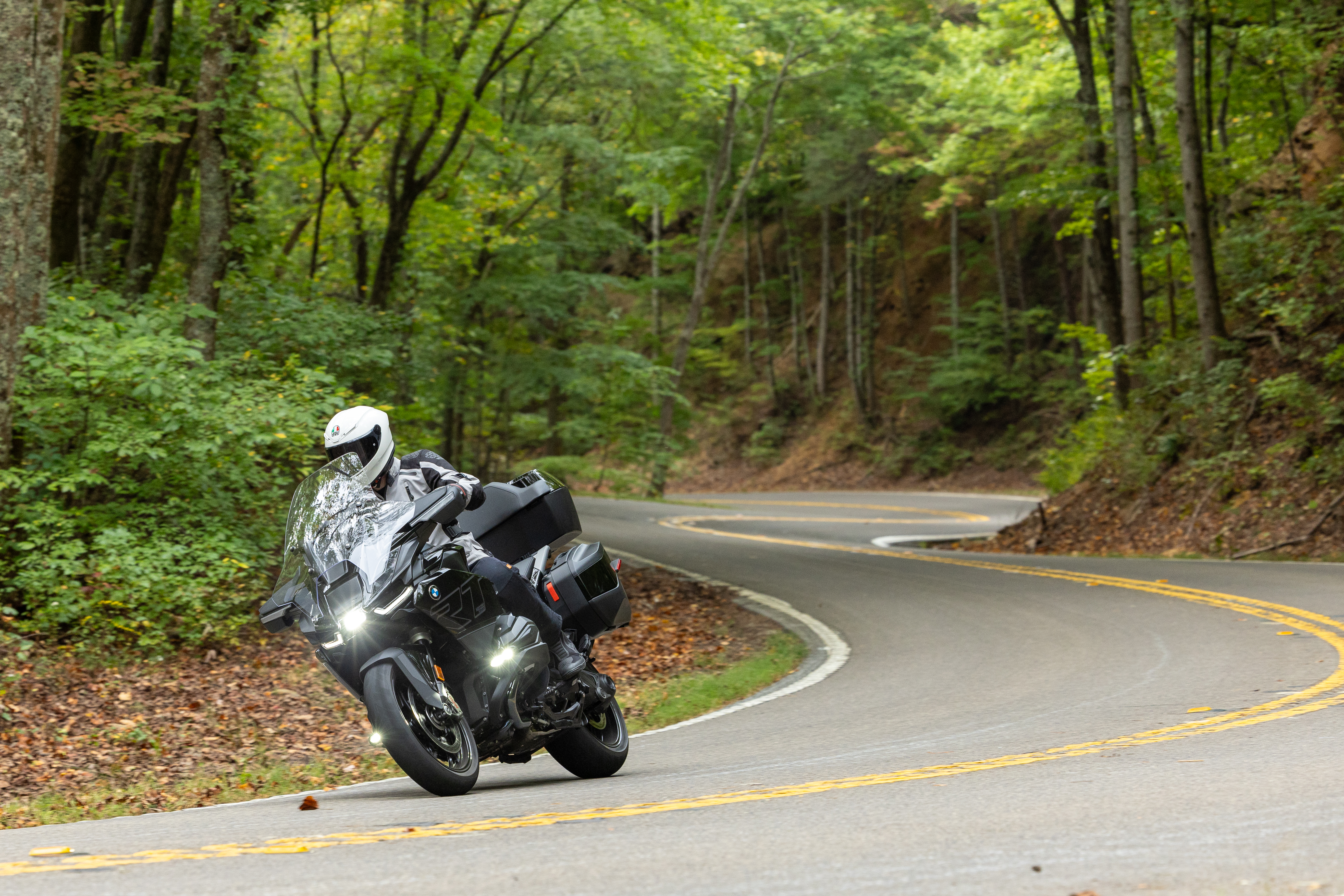 rider on the BMW on a road curving through a forest